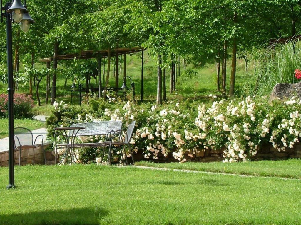 Agriturismo Podere La Casaccia Poppi Zewnętrze zdjęcie